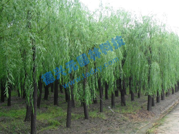 �c���鿴Ԕ��(x��)��Ϣ��(bi��o)�}������ ��x�Δ�(sh��)��2418