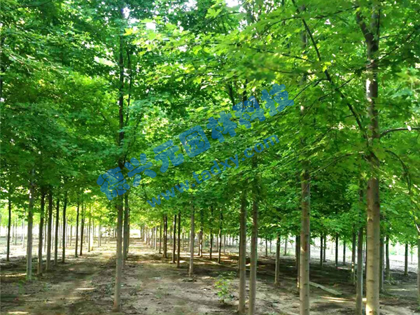 �c���鿴Ԕ����Ϣ���}�������t�� ��x�Δ�(sh��)��2073