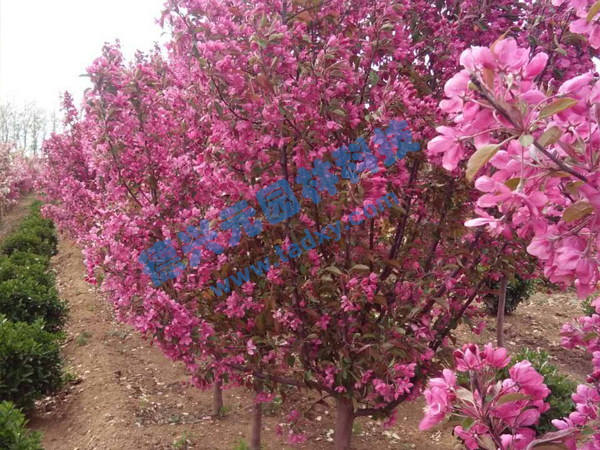 �c���鿴Ԕ����Ϣ���}���k������ ��x�Δ�(sh��)��2261